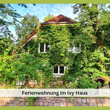 Ivy Haus Apartment Falkensee Exterior photo